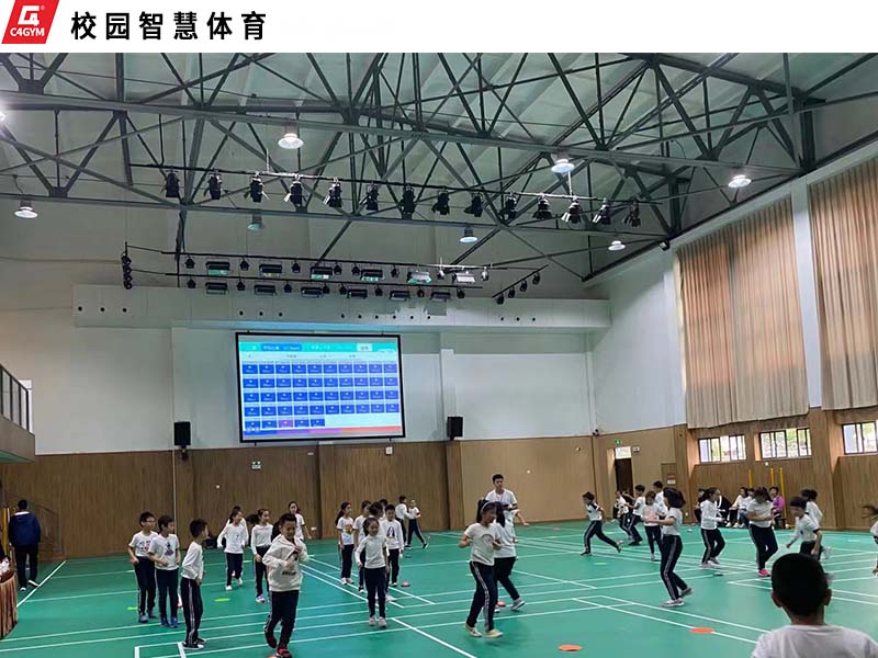 智能光電敏捷球-智能健身設備