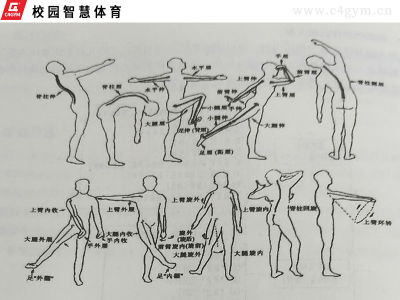 幼兒運(yùn)動(dòng)