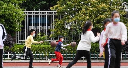 適合小學生體育運動項目-籃球