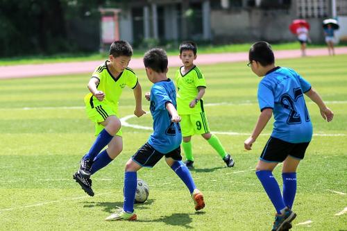 C4gym廣州驚奇—小學體育片段教學視頻10分鐘教學設計