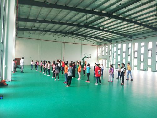 C4gym廣州驚奇—分析室內體育優質課視頻內容